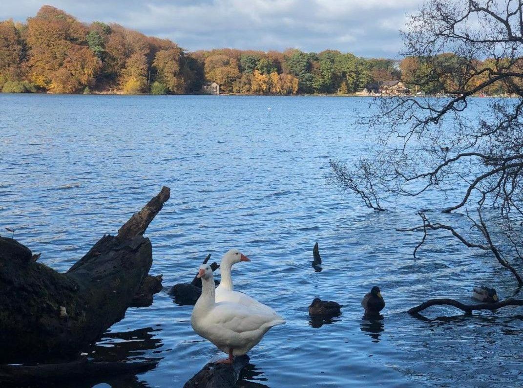 Villa Waters Edge, Talkin Tarn, Nr Brampton à Brampton  Extérieur photo