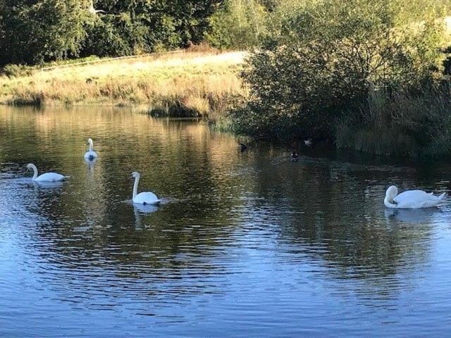 Villa Waters Edge, Talkin Tarn, Nr Brampton à Brampton  Extérieur photo