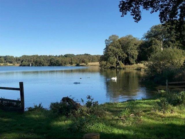 Villa Waters Edge, Talkin Tarn, Nr Brampton à Brampton  Extérieur photo